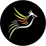 دانلود بلبل جان جدید Bolbol Jan 2025 ❌رفع فیلتر شده + تلویزیون + ویندوز دانلود بلبل جان جدید Bolbol Jan 2025 ❌رفع فیلتر شده + تلویزیون + ویندوز